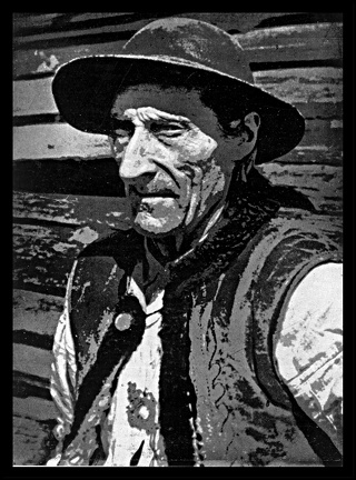 During his experiments with various photographic so-called special techniques , he conceived in 1931 a tone-separation technique that was called Izohelia (known also as Posterization ). The illustration presents an example of an image created in the technique, entitled Highlander bagpiper of Poronin (1937).
Experience aiding to develop this technique was gained by W. Romer during his work in his father Eugeniusz's publishing house Książnica Atlas in Lwow, where he managed the photomechanical department. WM Izohelia.jpg