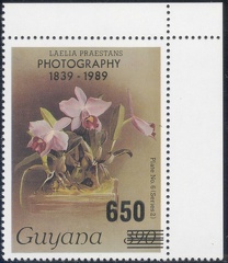 Item no. S265b (stamp)