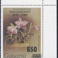 Item no. S265b (stamp)