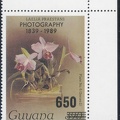 Item no. S265b (stamp).jpg