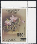 Item no. S265c (stamp)