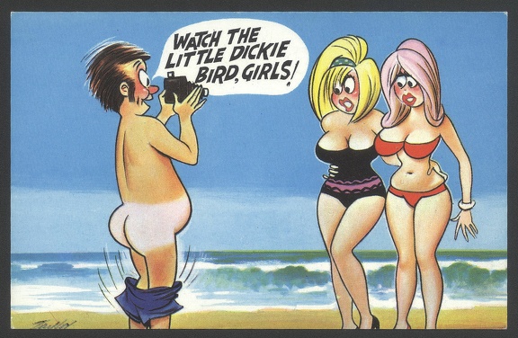 Item no. FP25 (funny postcard).jpg