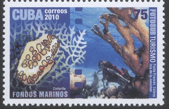 Item no. S317 (stamp)
