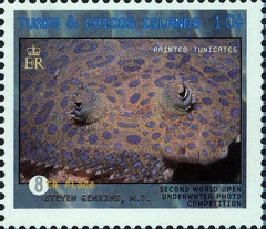 Item no. S424 (stamp)