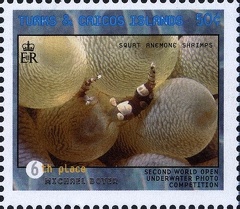 Item no. S422 (stamp)