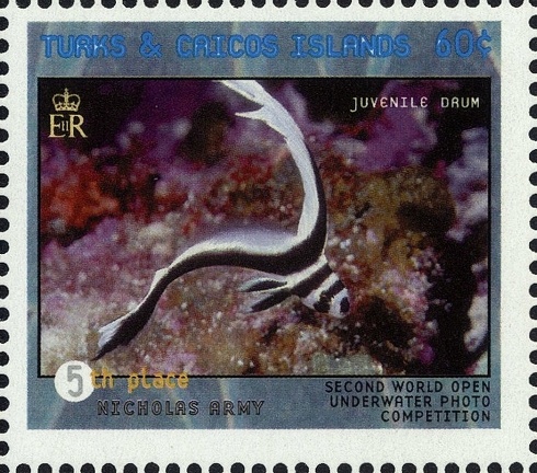 Item no. S421 (stamp).jpg