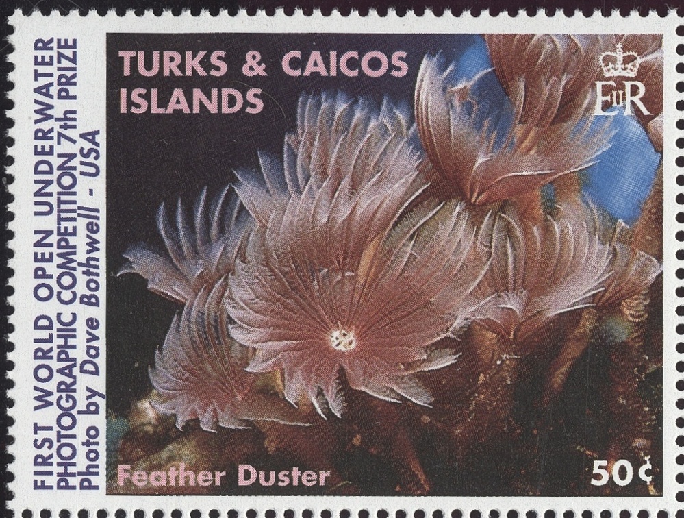 Item no. S456 (stamp)