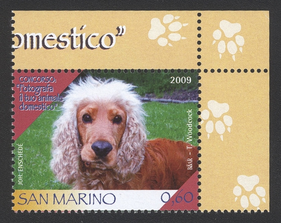 Item no. S509 (stamp)