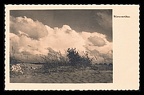 Item no. P4232b (postcard)